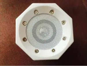 Smart Wireless Bluetooth Speaker with Phone Amplifier