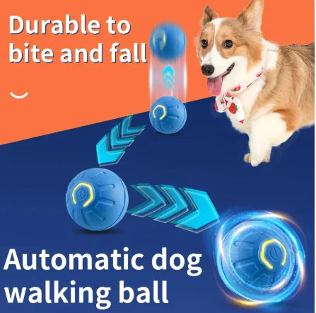 Paws Play Smart Ball