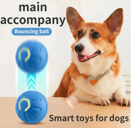 Paws Play Smart Ball
