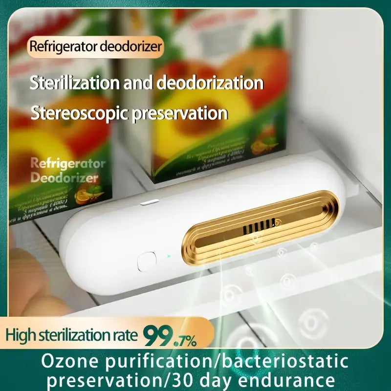 Ozone Deodorizer and Air Purifier for Home and Car