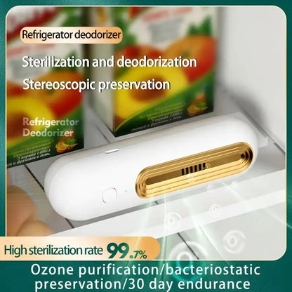 Ozone Deodorizer and Air Purifier for Home and Car