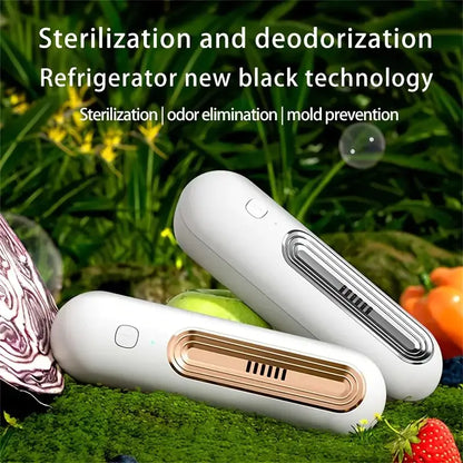 Ozone Deodorizer and Air Purifier for Home and Car
