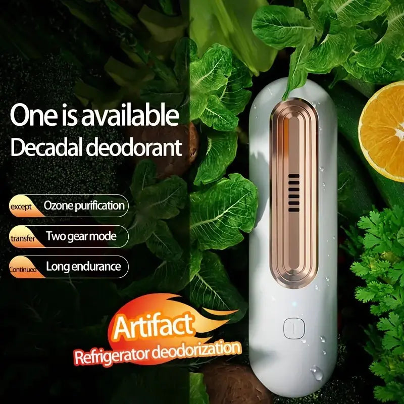 Ozone Deodorizer and Air Purifier for Home and Car